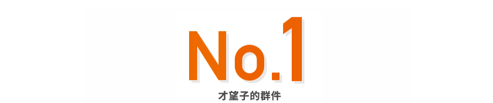 No.1 才望子的群件